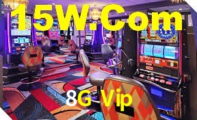 Bonus Features 8G Vip